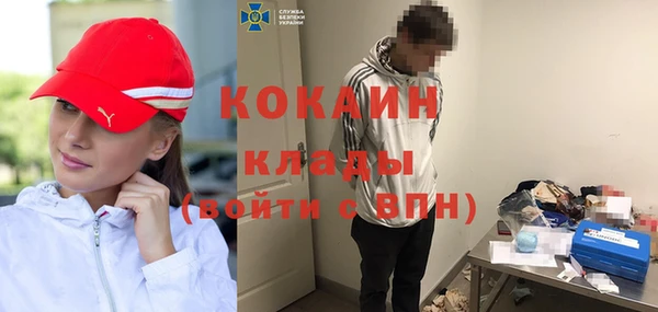 эйфоретик Арсеньев