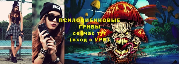 бошки Аркадак