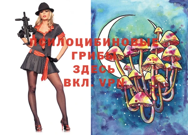 гашик Армянск