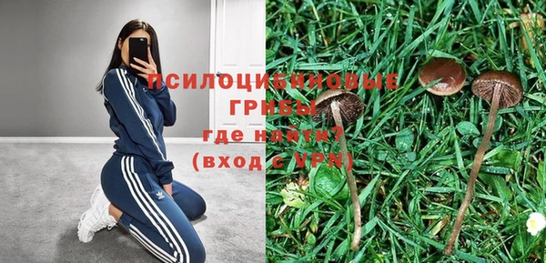 бошки Аркадак