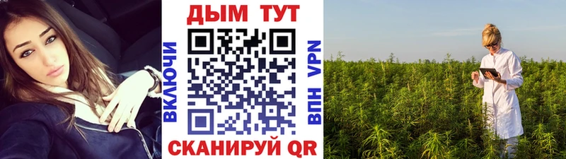 Бошки марихуана план  Новый Уренгой 